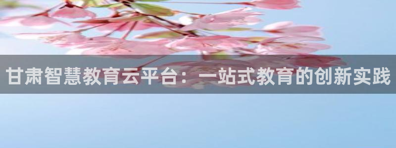新航娱乐黑：甘肃智慧教育云平台：一站式教育的创新实践