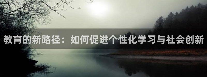 成都中创新航娱乐区：教育的新路径：如何促进个性化学习与社会创