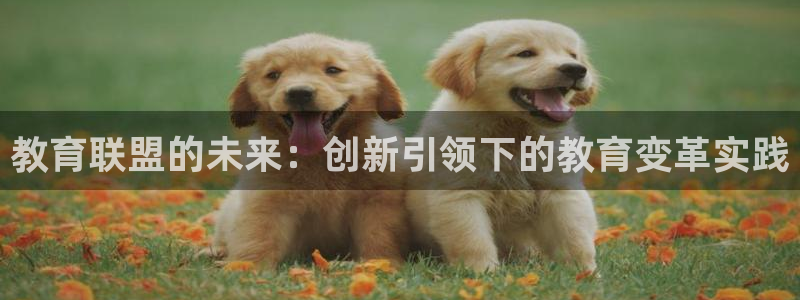 娱乐新航向：教育联盟的未来：创新引领下的教育变革实践