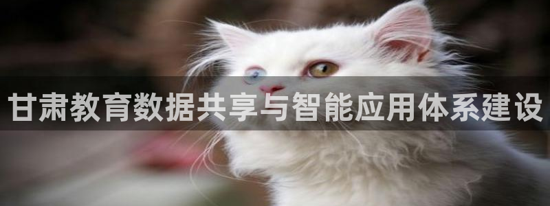 张掖新航线娱乐会所：甘肃教育数据共享与智能应用体系建设