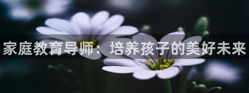 新航娱乐招商：家庭教育导师：培养孩子的美好未来