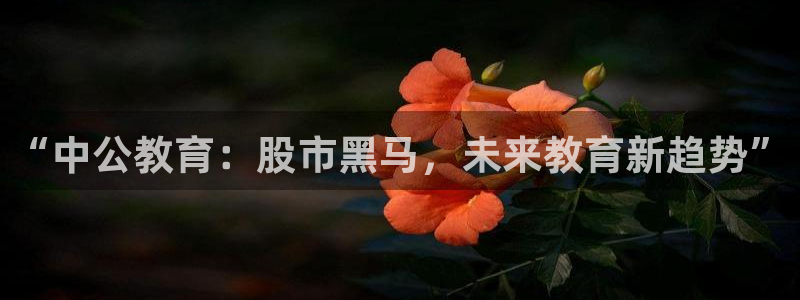 新航sq806娱乐系统：“中公教育：股市黑马，未来教育新趋势