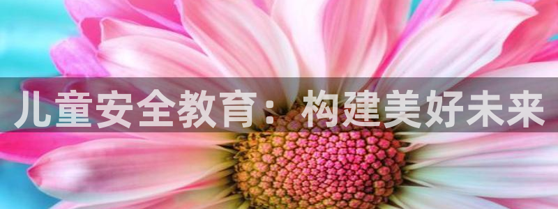 新航娱乐公司简介图片：儿童安全教育：构建美好未来