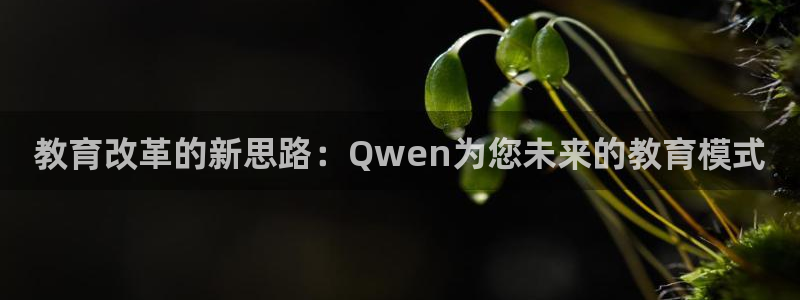 新航娱乐公司招聘电话：教育改革的新思路：Qwen为您未来的教