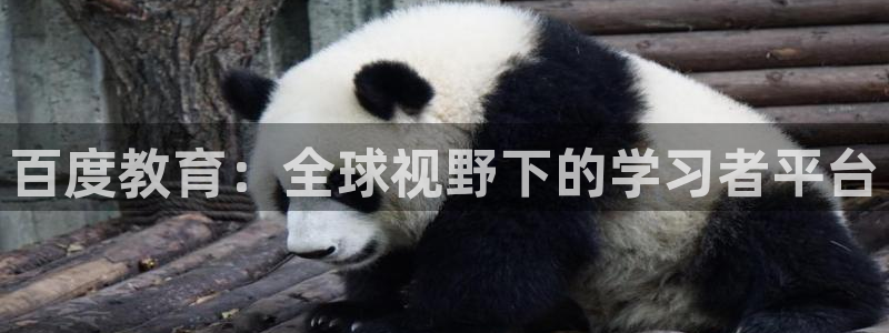 新航娱乐传媒：百度教育：全球视野下的学习者平台
