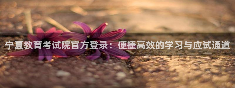 新航头等舱套房娱乐屏：宁夏教育考试院官方登录：便捷高效的学习