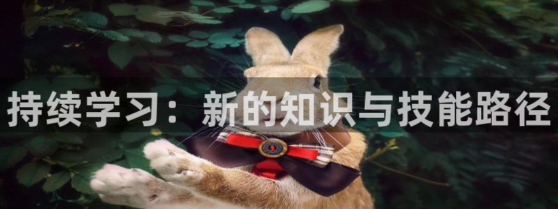 新航文化娱乐传媒招聘：持续学习：新的知识与技能路径