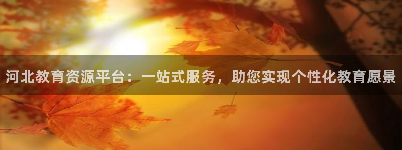 新航娱乐平台注册：河北教育资源平台：一站式服务，助您实现个性