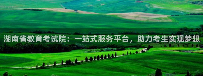 新航娱乐公司问题：湖南省教育考试院：一站式服务平台，助力考生