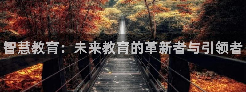 新航娱乐属于什么级别：智慧教育：未来教育的革新者与引领者