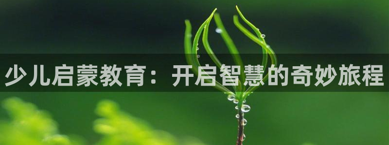 新航娱乐平台官网：少儿启蒙教育：开启智慧的奇妙旅程