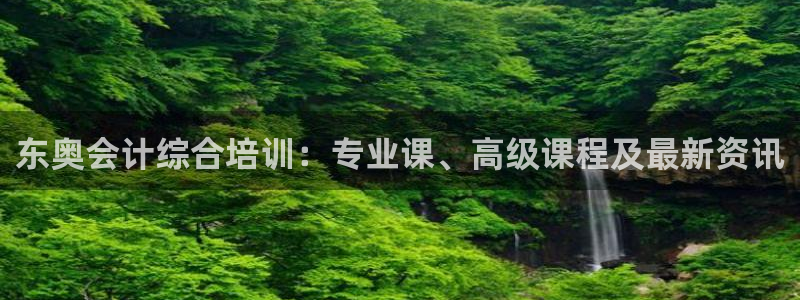 新航娱乐公司怎么样：东奥会计综合培训：专业课、高级课程及最新