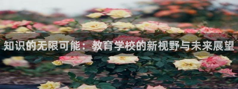 娱乐搞笑新航线：知识的无限可能：教育学校的新视野与未来展望
