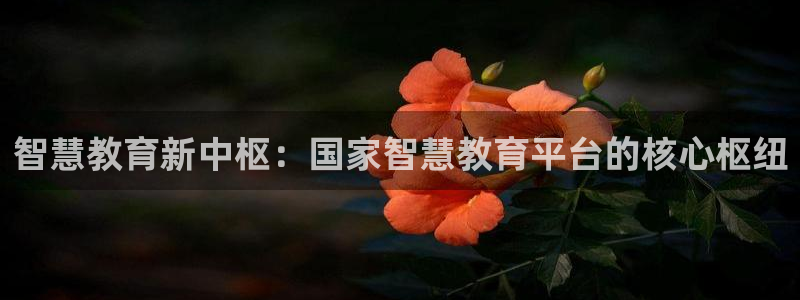 娱乐搞笑新航线：智慧教育新中枢：国家智慧教育平台的核心枢纽