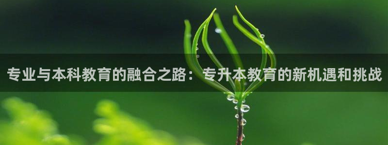 新航虚拟娱乐：专业与本科教育的融合之路：专升本教育的新机遇和
