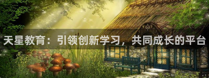 新航娱乐有限公司：天星教育：引领创新学习，共同成长的平台