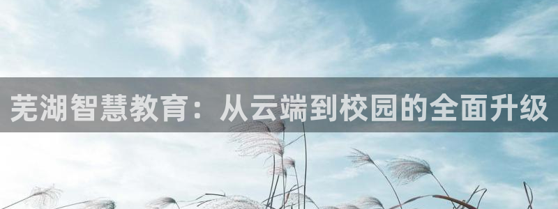 新航海大酒店娱乐城：芜湖智慧教育：从云端到校园的全面升级