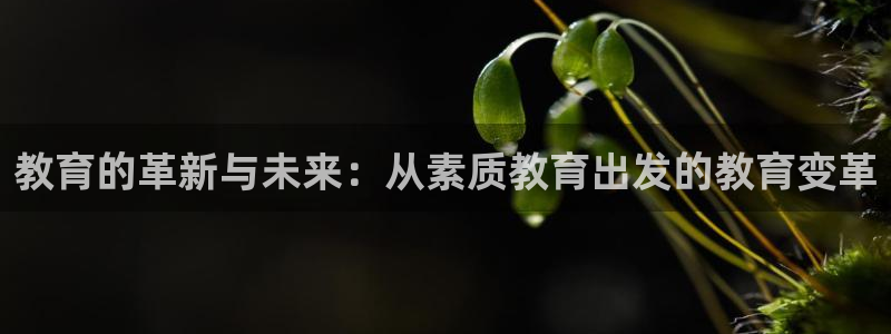 新航娱乐公司地址查询：教育的革新与未来：从素质教育出发的教育