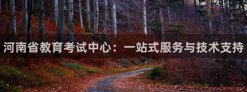 新航娱乐公司艺人：河南省教育考试中心：一站式服务与技术支持