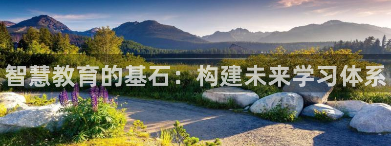 新航娱乐登录大厅：智慧教育的基石：构建未来学习体系