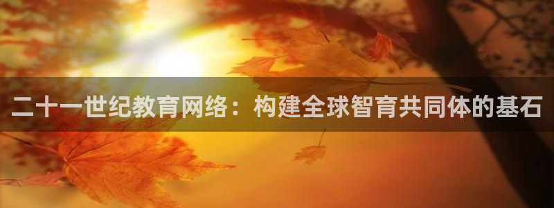 新航佳苑娱乐：二十一世纪教育网络：构建全球智育共同体的基石