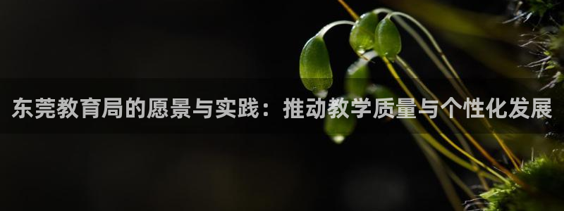 新航娱乐登录注册：东莞教育局的愿景与实践：推动教学质量与个性