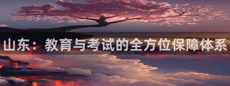 新航娱乐街7O935：山东：教育与考试的全方位保障体系
