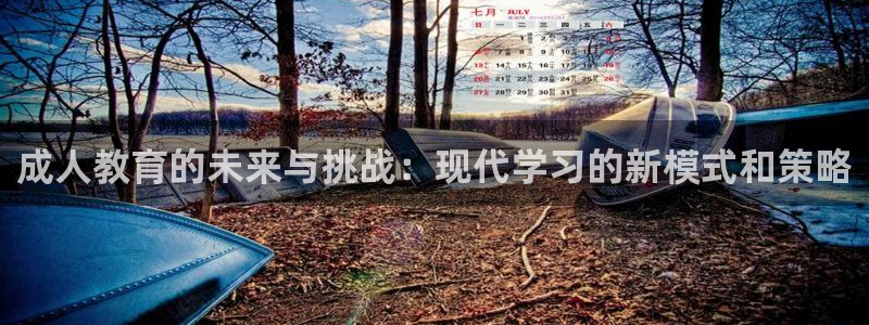 新航娱乐官网地址：成人教育的未来与挑战：现代学习的新模式和策