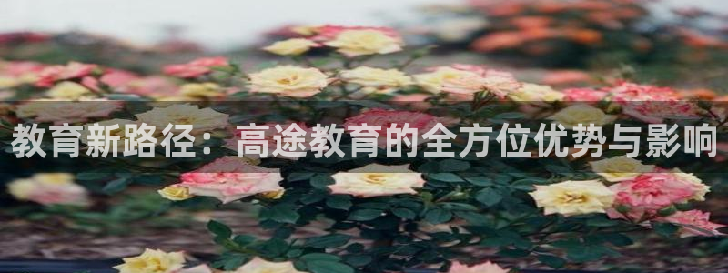新航海娱乐会所怎么样：教育新路径：高途教育的全方位优势与影响