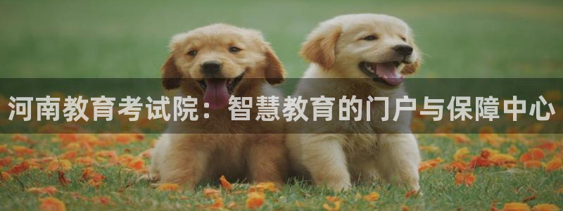新航娱乐传媒招聘电话：河南教育考试院：智慧教育的门户与保障中