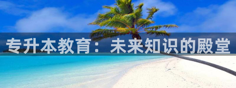 新航娱乐公司问题解决：专升本教育：未来知识的殿堂
