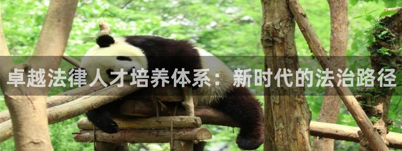 新航城娱乐传媒有限公司：卓越法律人才培养体系：新时代的法治路