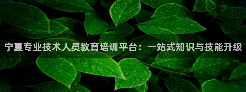 新航娱乐公司问题解决：宁夏专业技术人员教育培训平台：一站式知