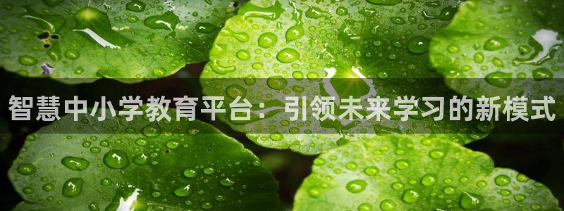 岛城娱乐新航向
