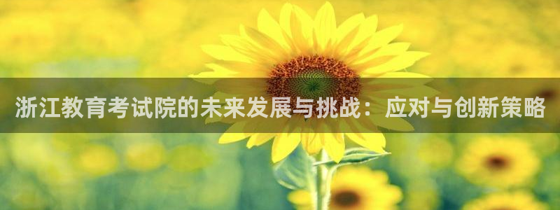 新航娱乐公司简介：浙江教育考试院的未来发展与挑战：应对与创新