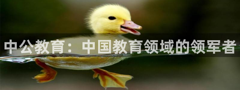 新航娱乐传媒怎么样：中公教育：中国教育领域的领军者