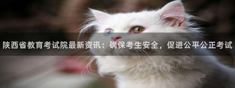 新航娱乐扣款详情：陕西省教育考试院最新资讯：确保考生安全，促