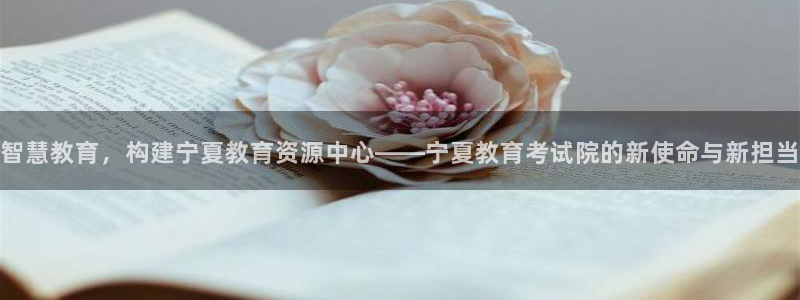 新航娱乐观：智慧教育，构建宁夏教育资源中心——宁夏教育考试院