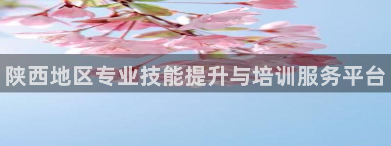 新航娱乐传媒怎么样知乎：陕西地区专业技能提升与培训服务平台