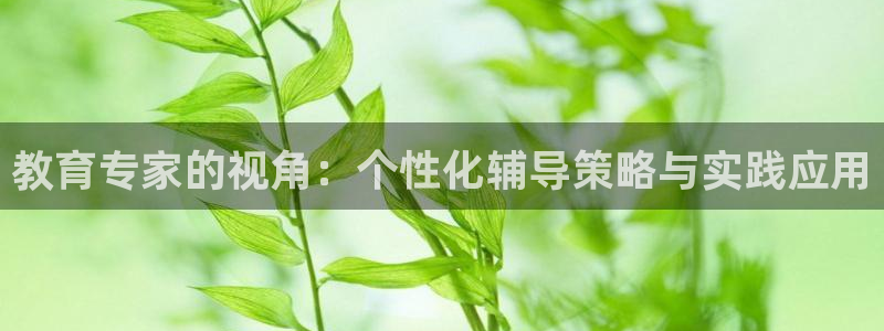 新航城娱乐传媒有限公司：教育专家的视角：个性化辅导策略与实践