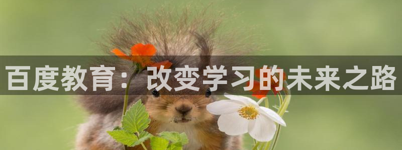 新航线娱乐会所：百度教育：改变学习的未来之路