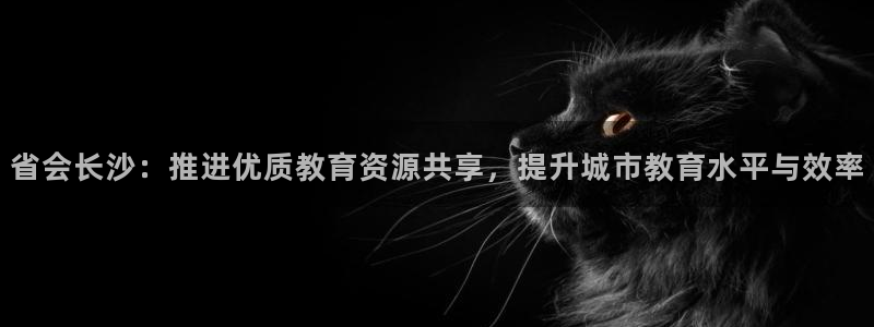 新航娱乐设施：省会长沙：推进优质教育资源共享，提升城市教育水