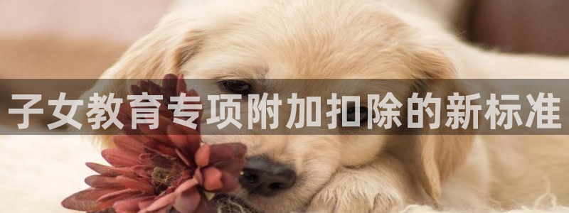 新航娱乐设施：子女教育专项附加扣除的新标准