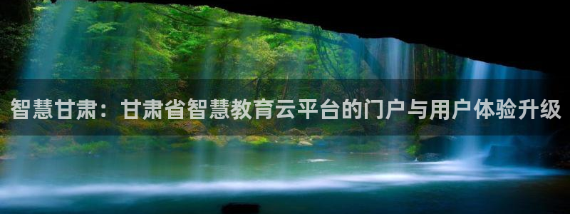 新航娱乐公司问题分析