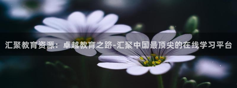 新航娱乐公司怎么样知乎：汇聚教育资源：卓越教育之路-汇聚中国