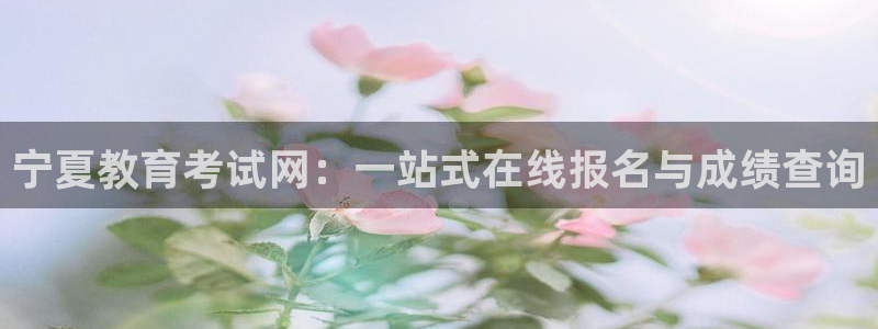 新航娱乐最新娱乐项目介绍：宁夏教育考试网：一站式在线报名与成