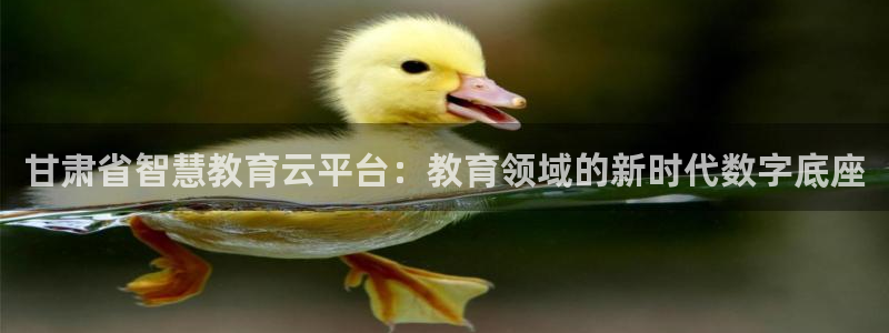 新航海大酒店娱乐城：甘肃省智慧教育云平台：教育领域的新时代数