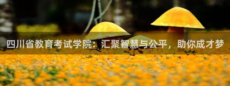 新航娱乐官方：四川省教育考试学院：汇聚智慧与公平，助你成才梦